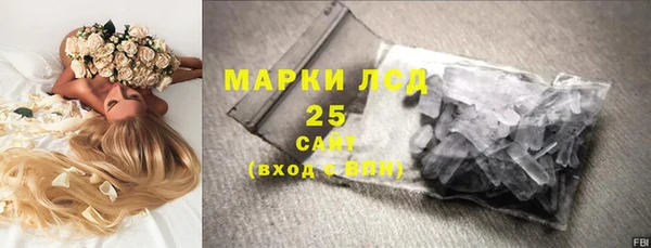 сатива Магас