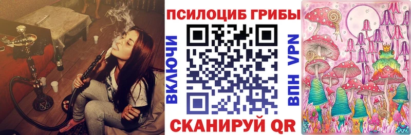 Псилоцибиновые грибы Magic Shrooms  Темрюк 
