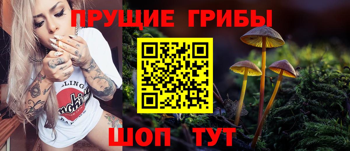 Псилоцибиновые грибы GOLDEN TEACHER Темрюк
